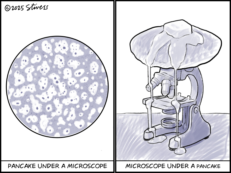 Pancake under a microscope